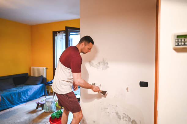 Best Mold Remediation  in Hastings On Hudson, NY